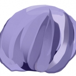 キャベツ（紫
